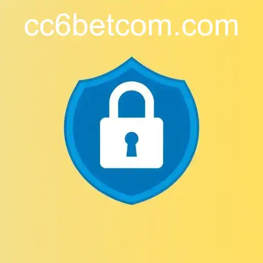 The Ins and Outs of Privacy Policies on Platforms Like CC6 Bet